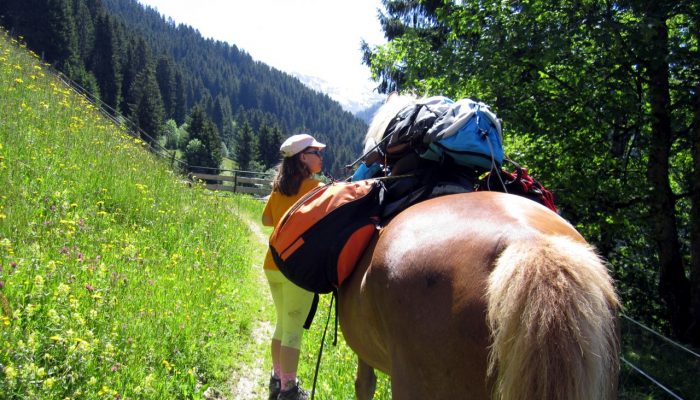 Pferd mit Gepäck