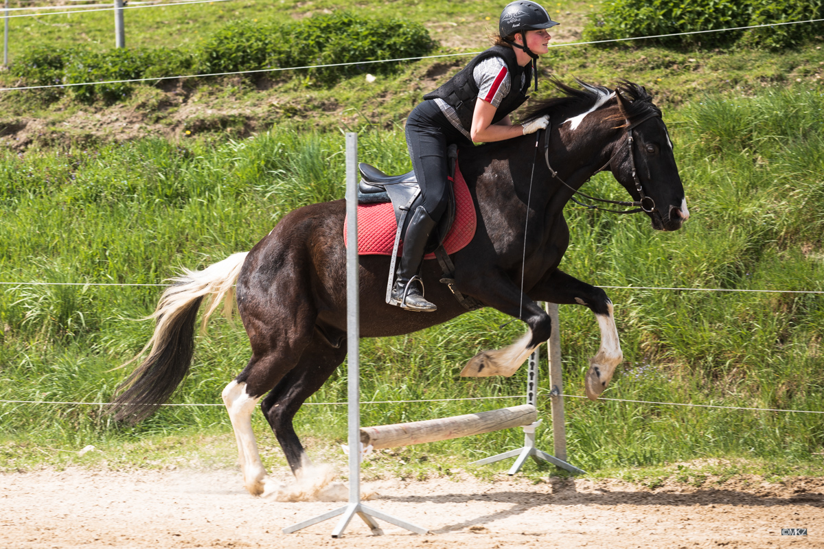 Springreiten lernen