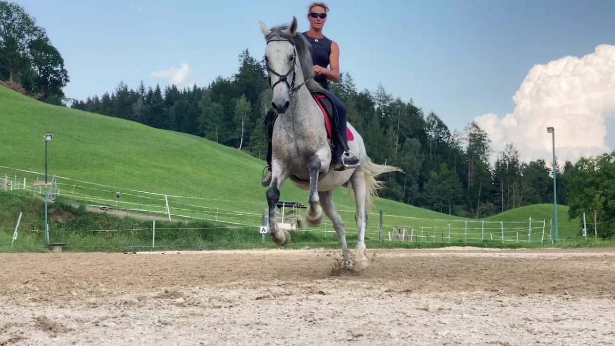 Sieglinde Schauer trainiert Avatar